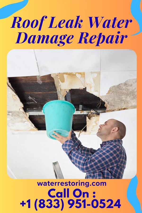 Roof Leak Water Damage Repair in Wanship, UT